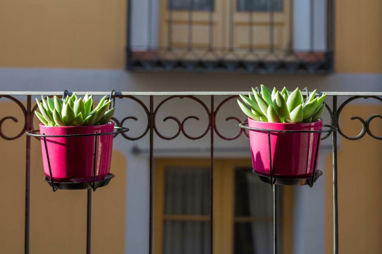 Casa Malvasiaログローニョ エクステリア 写真